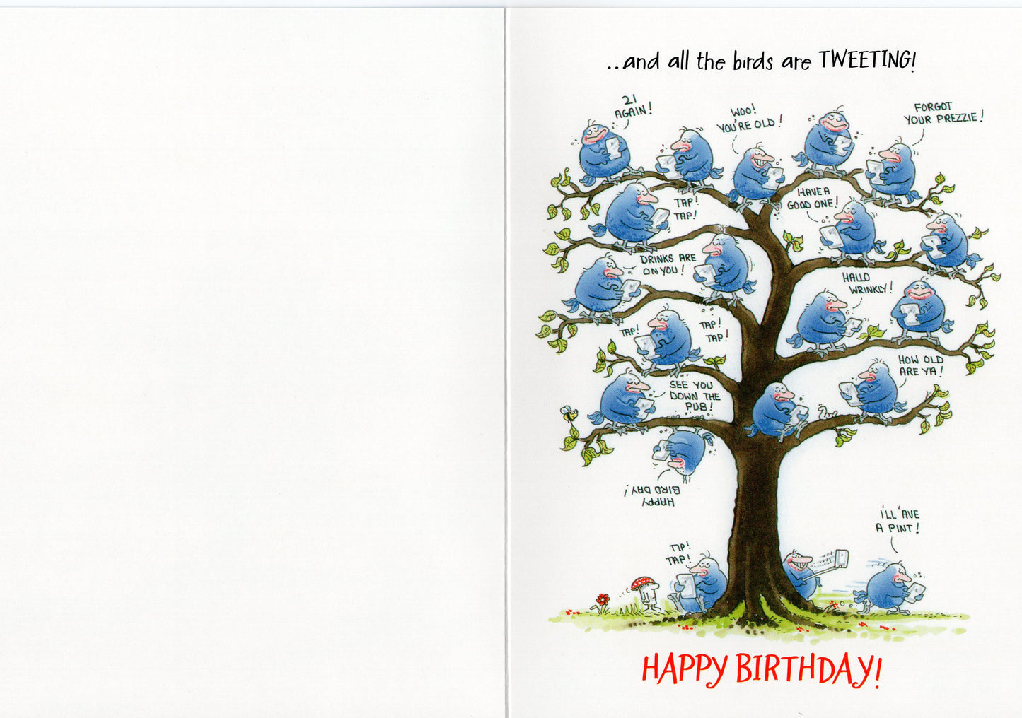 Birdwit Happy Birthday What A Wonderful Day! Funny Birthday Card