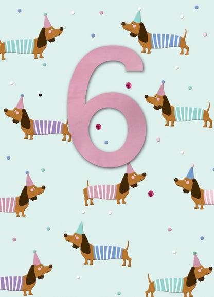 6th Birthday Sausage Dog Embellished Birthday Greeting Card
