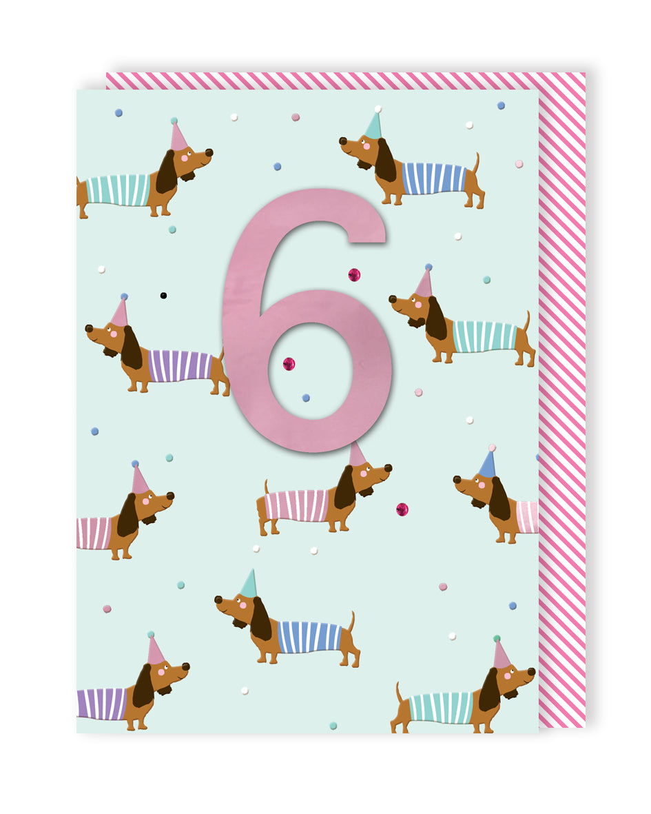 6th Birthday Sausage Dog Embellished Birthday Greeting Card