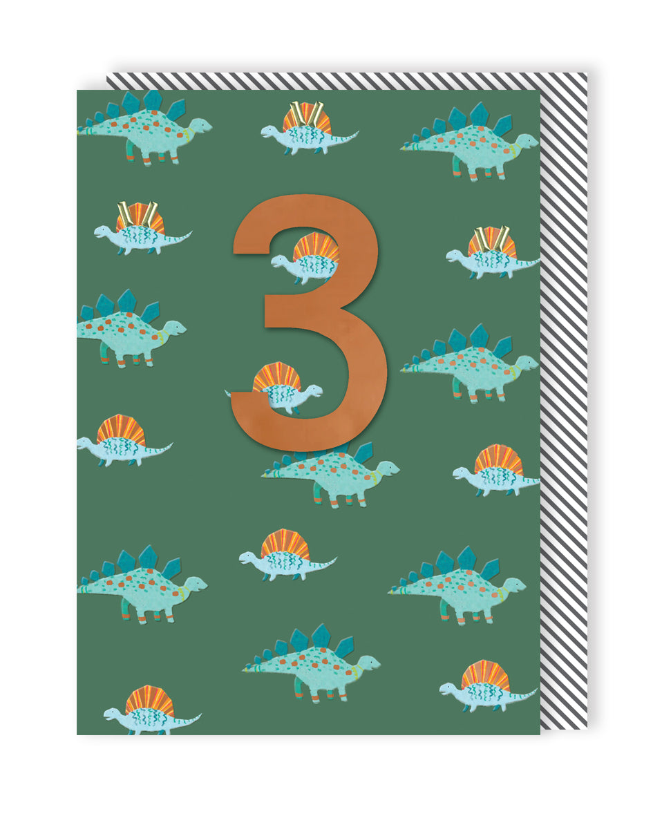 Boys 3rd Birthday Dinosaurs Embellished Greeting Card