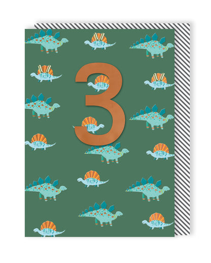 Boys 3rd Birthday Dinosaurs Embellished Greeting Card