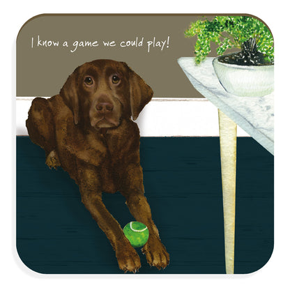 I Know A Game We Can Play Chocolate Labrador Little Dog Laughed Coaster