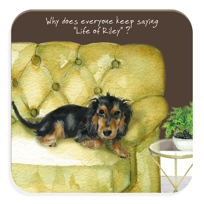 The Life Of Riley Wire-Haired Dachshund Little Dog Laughed Coaster