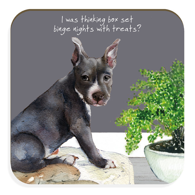 I Was Thinking Box Set With Treats Blue Staffy Little Dog Laughed Coaster