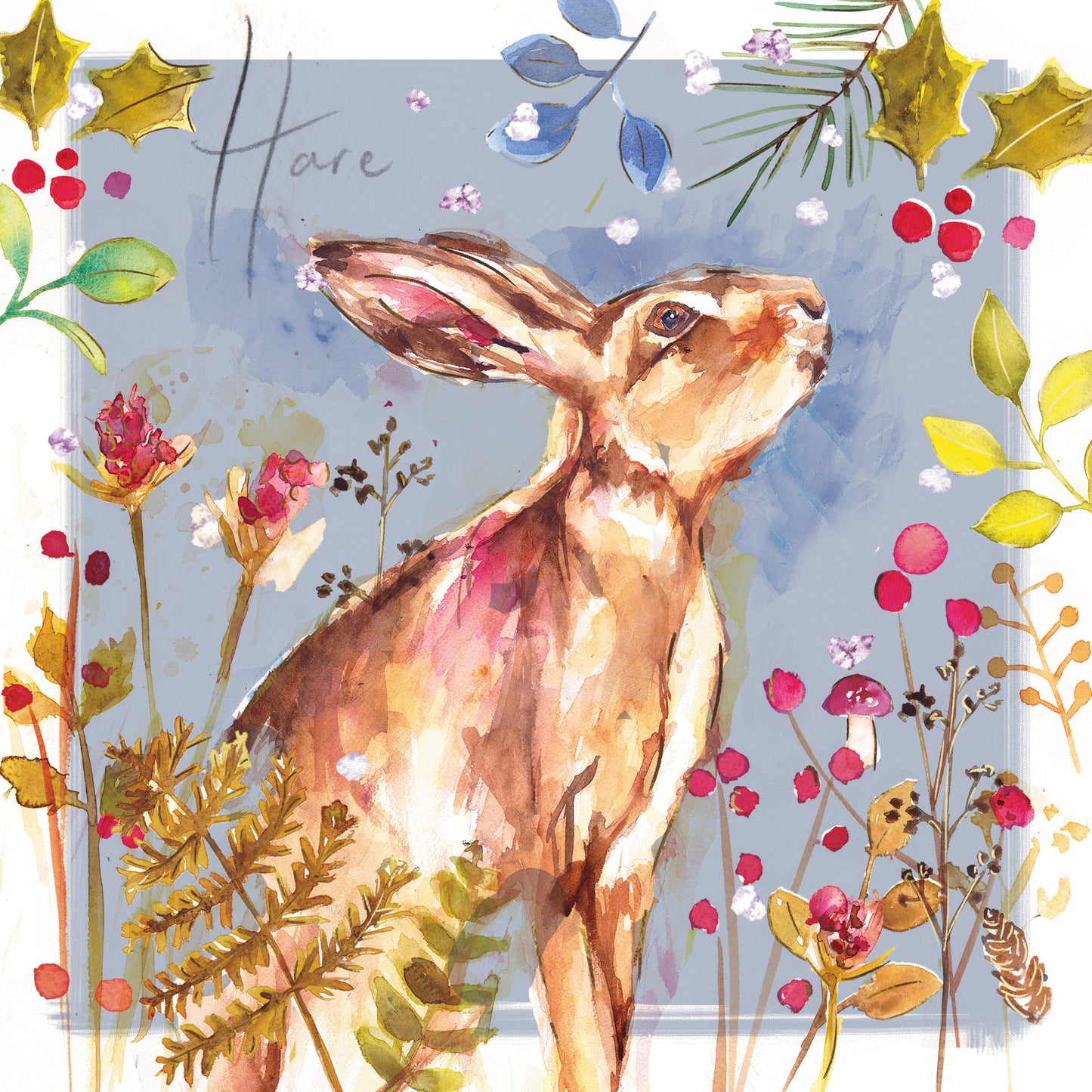Box of 15 Almanac Winter Robin & Hare Christmas Cards In 3 Designs