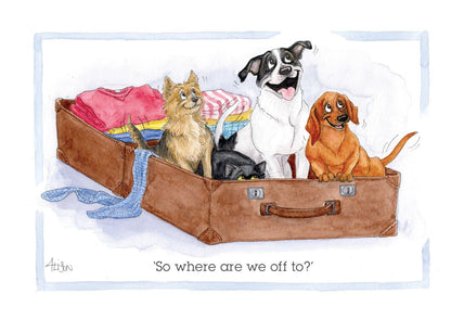 Cat & Dogs Off On Their Travels Alison's Animals Cartoon Greeting Card