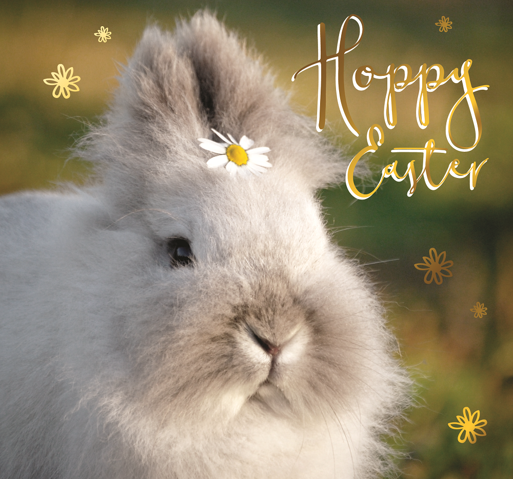 Cute Bunny Wearing A Daisy Photographic Easter Greeting Card