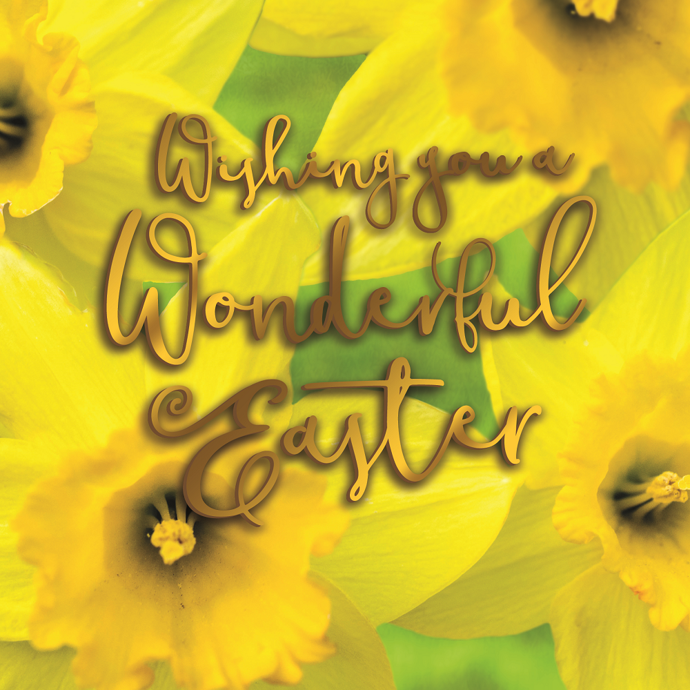 Wishing You A Wonderful Easter Photographic Easter Greeting Card