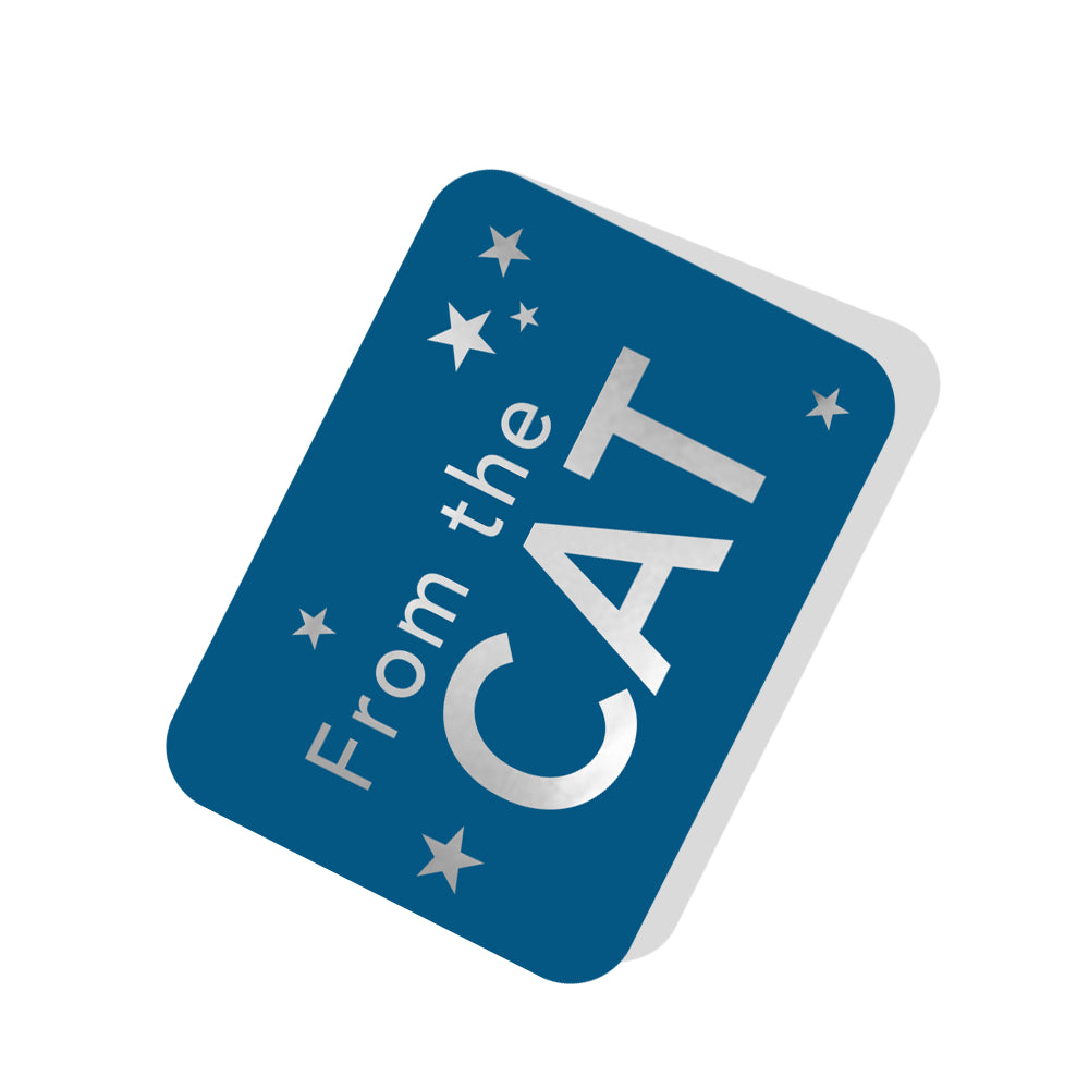 Happy Father's Day From The Cat Red Car Pop Up Card