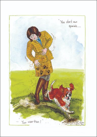 Don't Own Spaniels You Wear Them Alison's Animals Cartoon Greeting Card