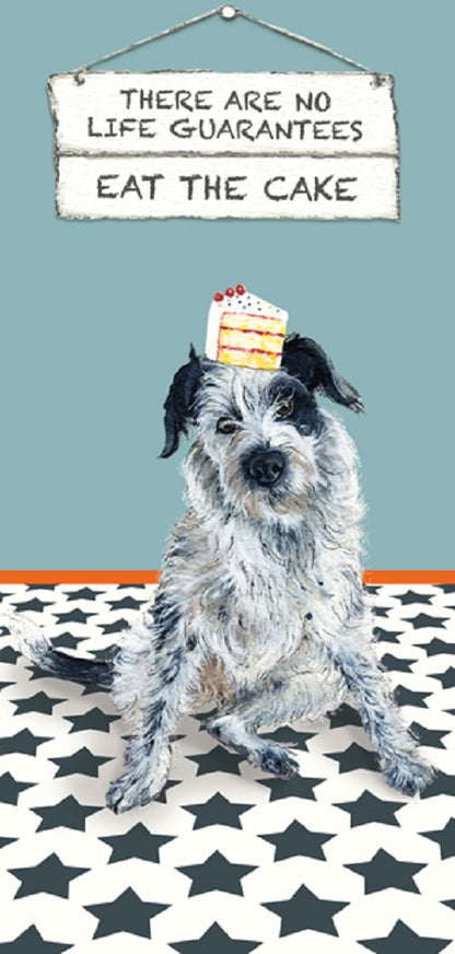 Eat The Cake Collie Little Dog Laughed Greeting Card