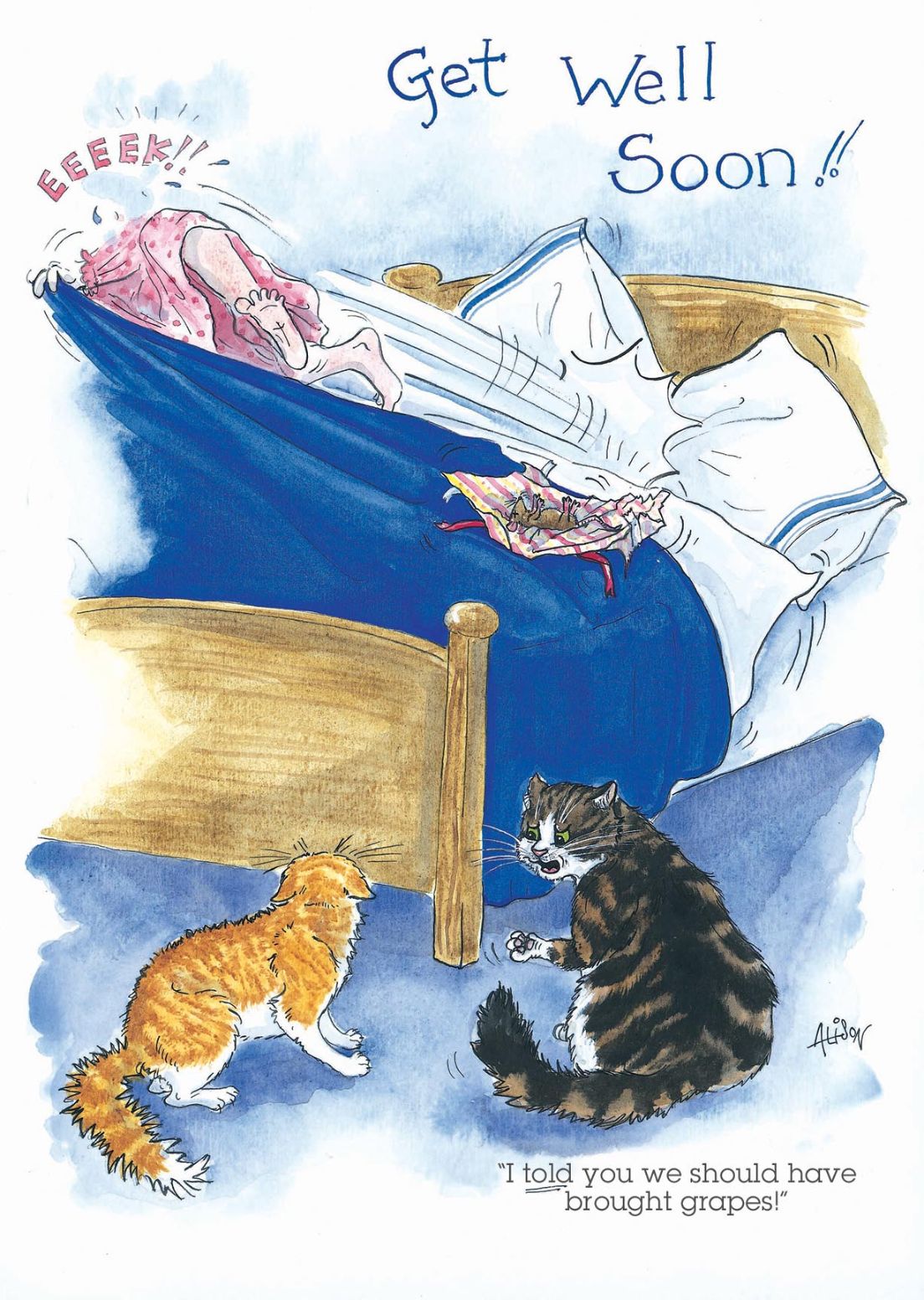 Get Well Soon Cats Helping Alison's Animals Cartoon Greeting Card