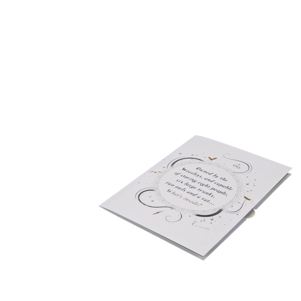 Harry Potter Harry & Ron In The Flying Ford Anglia Greeting Card