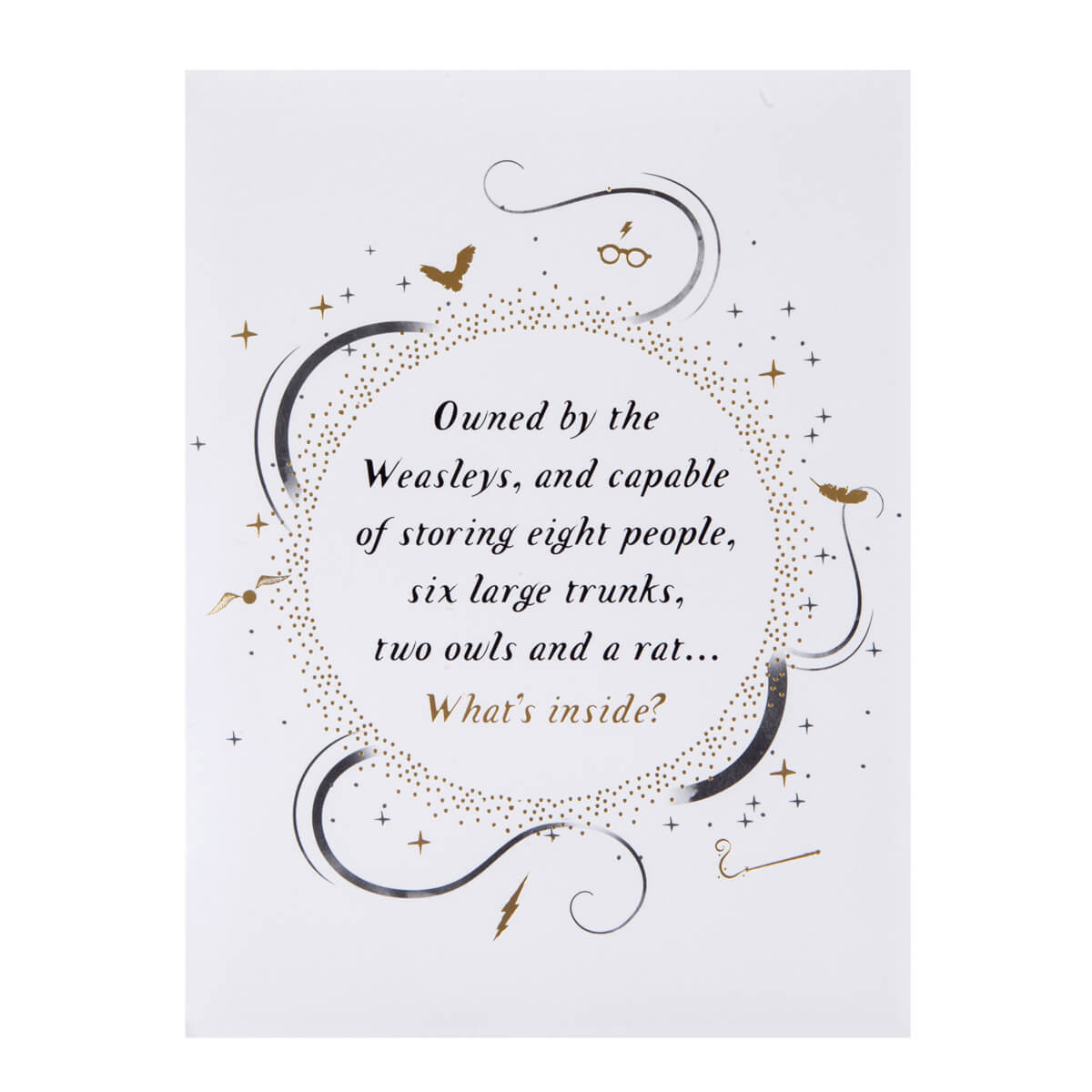 Harry Potter Harry & Ron In The Flying Ford Anglia Greeting Card