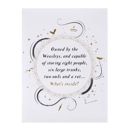 Harry Potter Harry & Ron In The Flying Ford Anglia Greeting Card