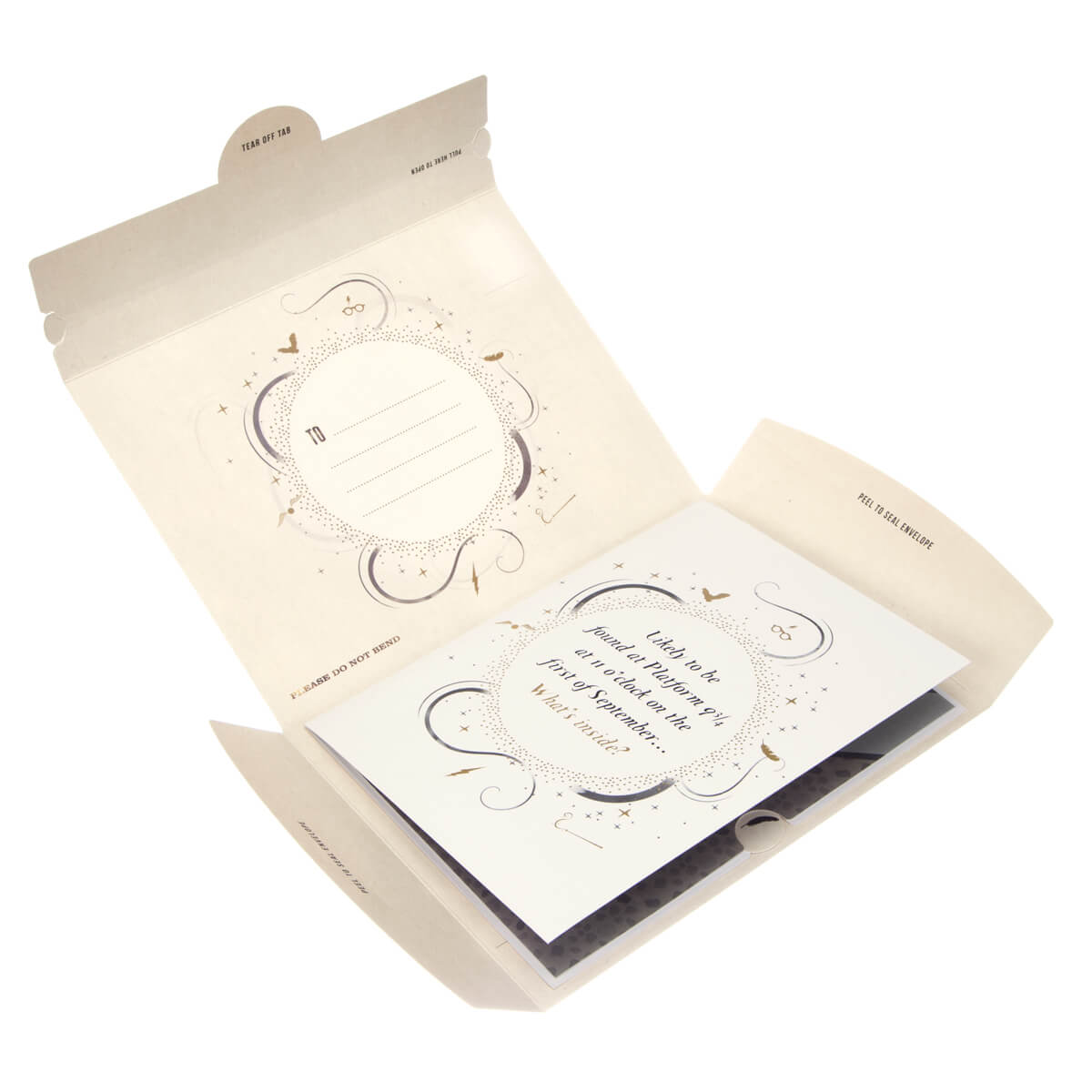 Harry Potter Harry & Ron In The Flying Ford Anglia Greeting Card