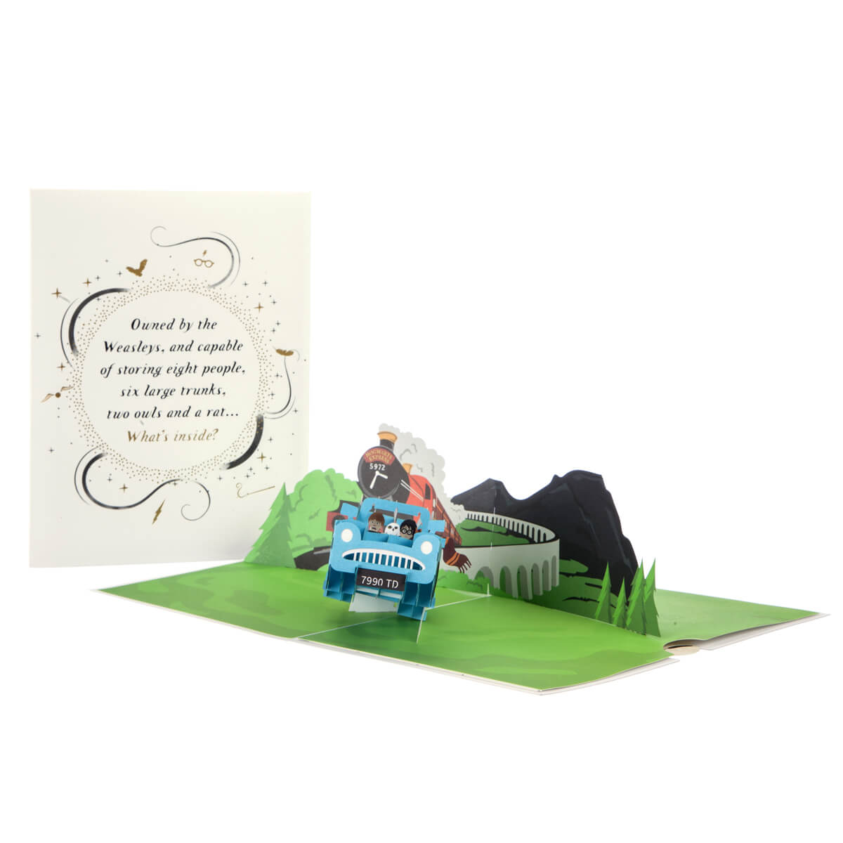 Harry Potter Harry & Ron In The Flying Ford Anglia Greeting Card