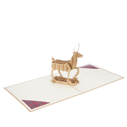 Majestic Highland Stag Pop Up Greeting Card