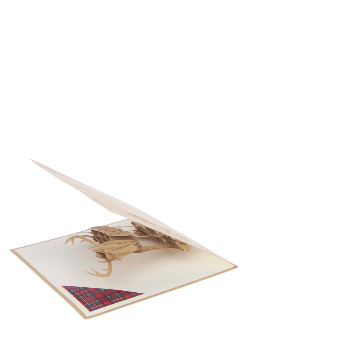 Majestic Highland Stag Pop Up Greeting Card