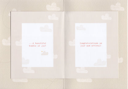 New Baby Girl So Very Precious New Baby Greeting Card