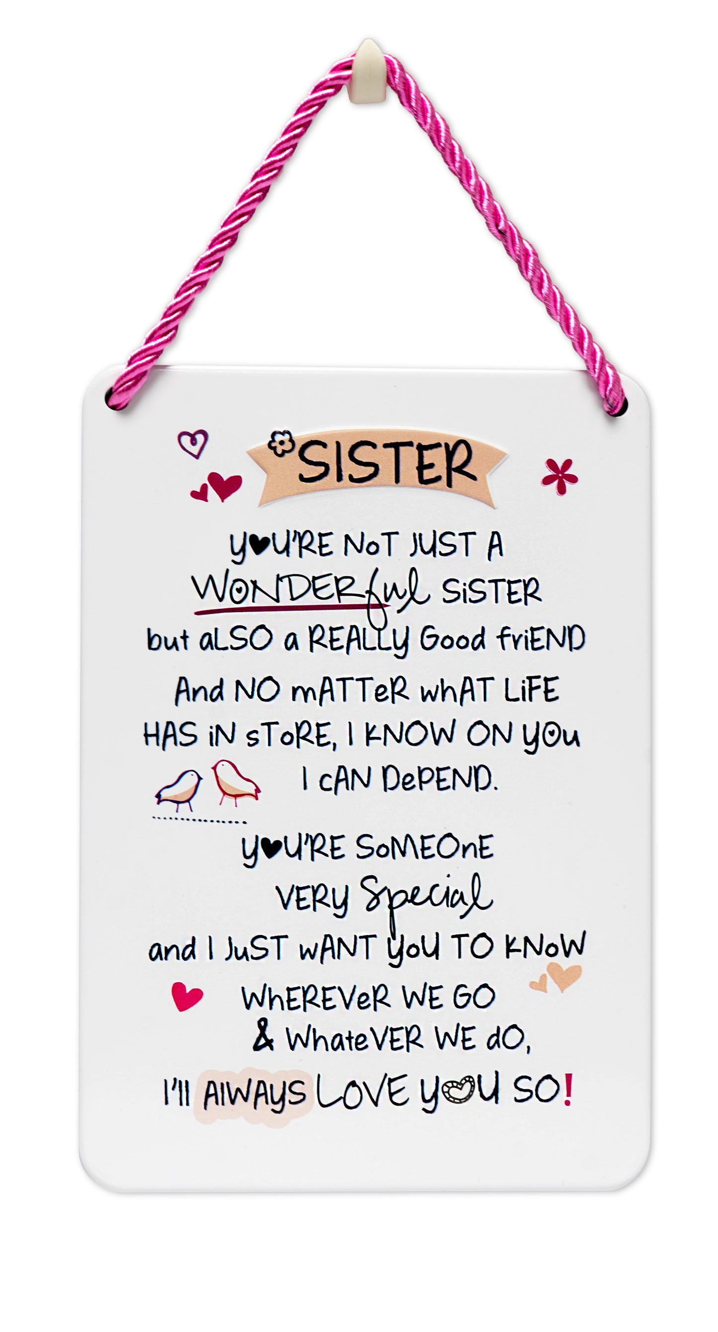 Wonderful Sister Inspired Words Tin Hanging Plaque
