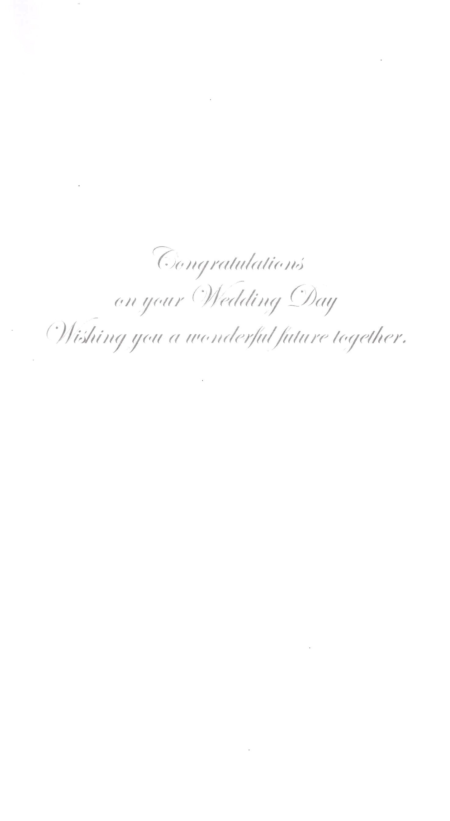 Special Couple Luxury Champagne Wedding Greeting Card