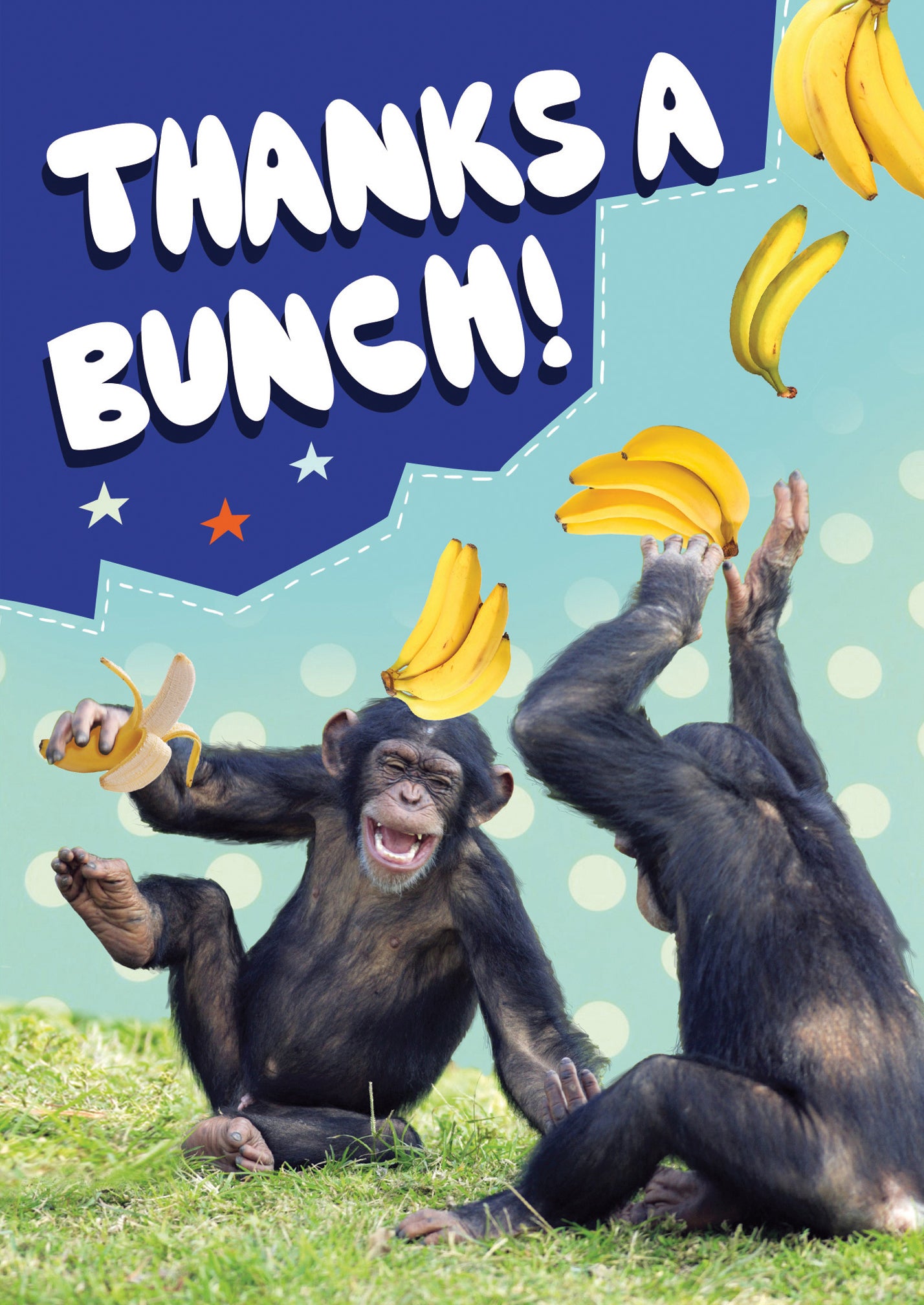 Apes Thanks A Bunch! Humour Thank You Card