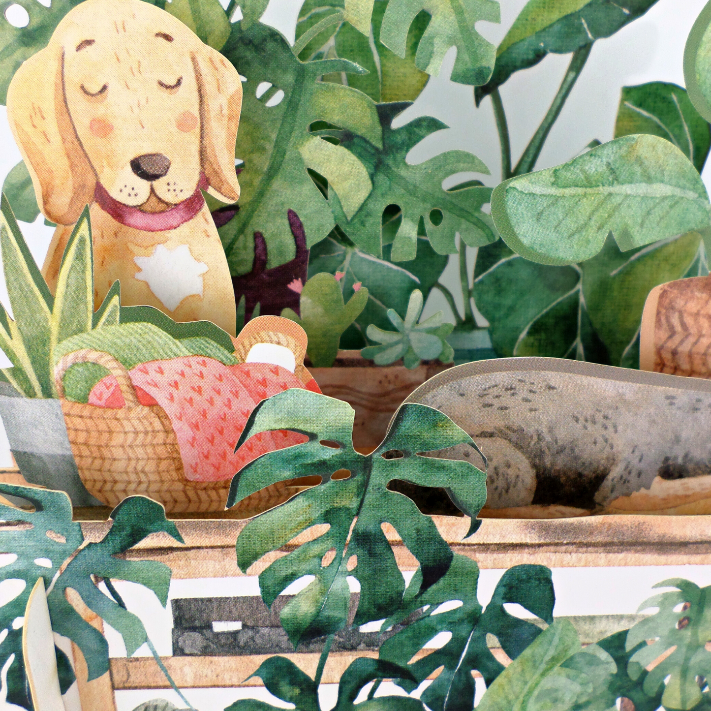 Botanical Dogs Birthday Celebration 3D Pop Up Card For Kids