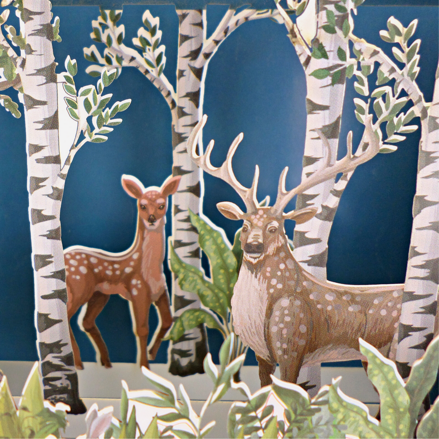 Message In A Bottle Forest Animals Pop Up Any Occasion Greeting Card