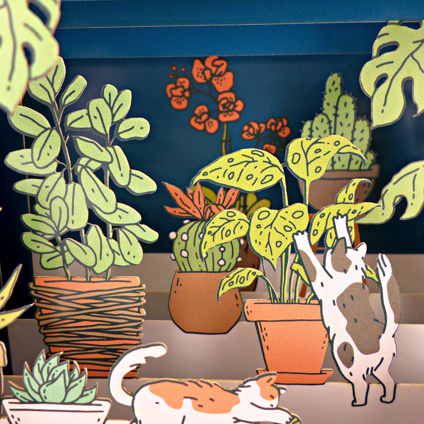 Message In A Bottle Play Cats Pop Up Any Occasion Greeting Card