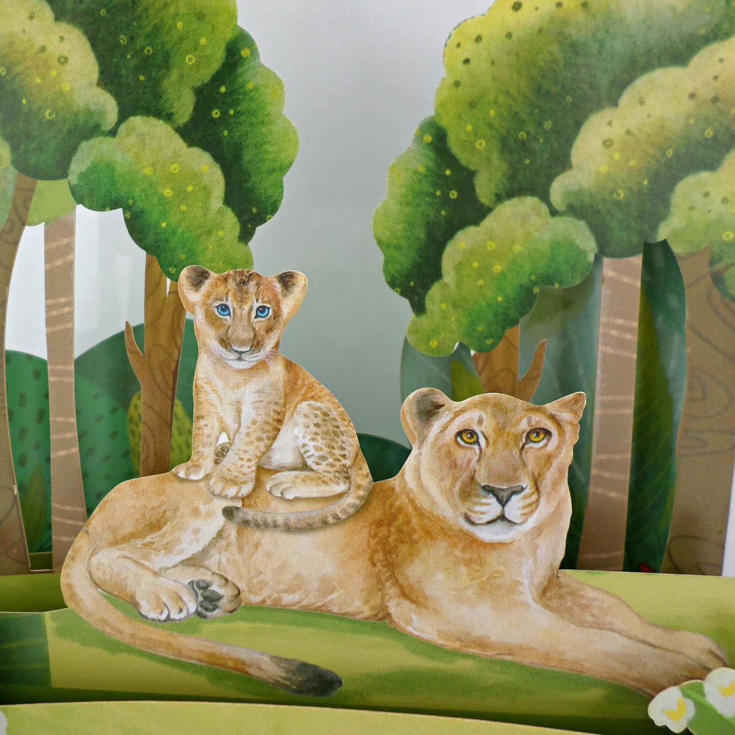 Lioness & Lion Cub Any Occasion 3D Pop Up Greeting Card