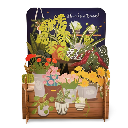 House Plants & Flowers Thank You 3D Pop Up Greeting Card