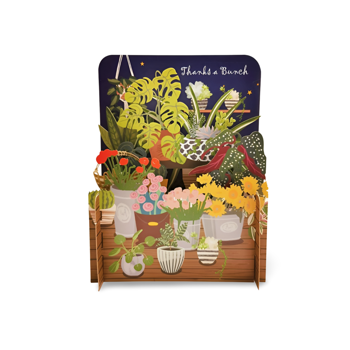 House Plants & Flowers Thank You 3D Pop Up Greeting Card