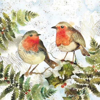 Box of 12 Almanac Watercolour Robins Christmas Cards In 3 Designs