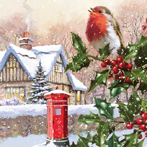 Box of 12 Medici Festive Winter Robin Christmas Cards In 3 Designs
