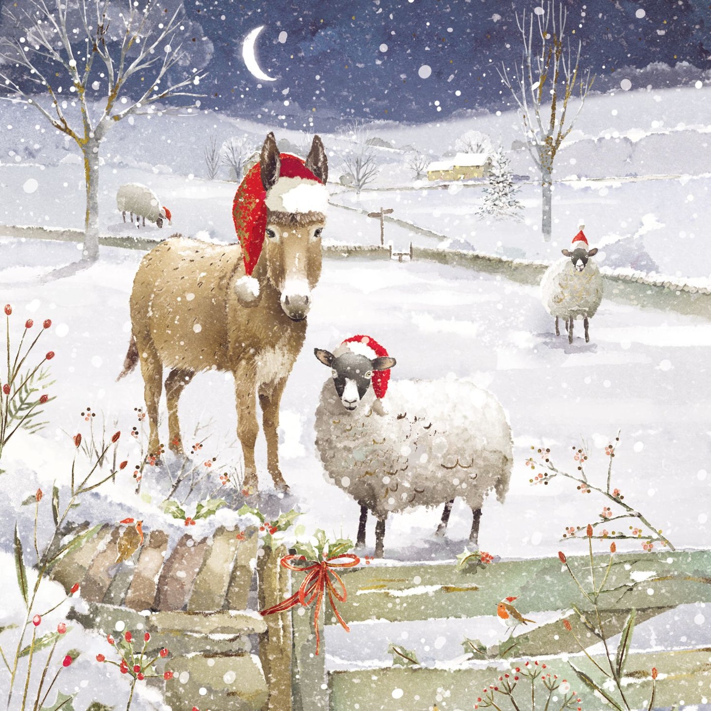 Box of 12 Paper House Festive Donkeys Christmas Cards In 3 Designs