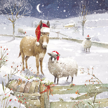 Box of 12 Paper House Festive Donkeys Christmas Cards In 3 Designs