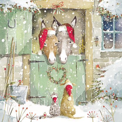 Box of 12 Paper House Festive Donkeys Christmas Cards In 3 Designs