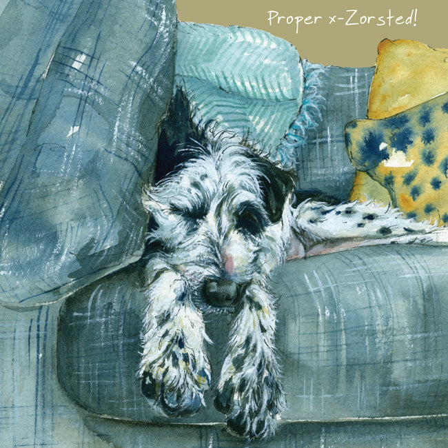 Border Collie Pointer Little Dog Laughed Greeting Card