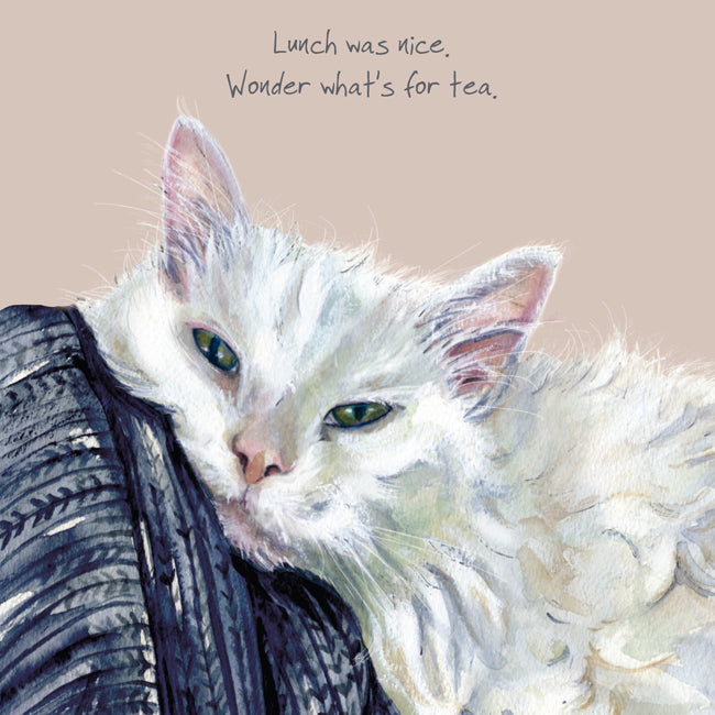 Cat What's For Tea Little Dog Laughed Greeting Card