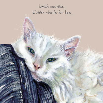 Cat What's For Tea Little Dog Laughed Greeting Card