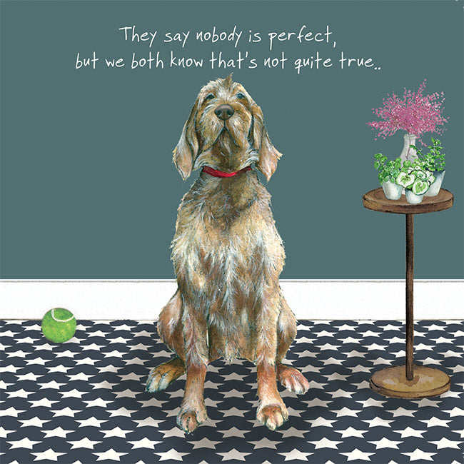 Perfect Vizsla Little Dog Laughed Greeting Card