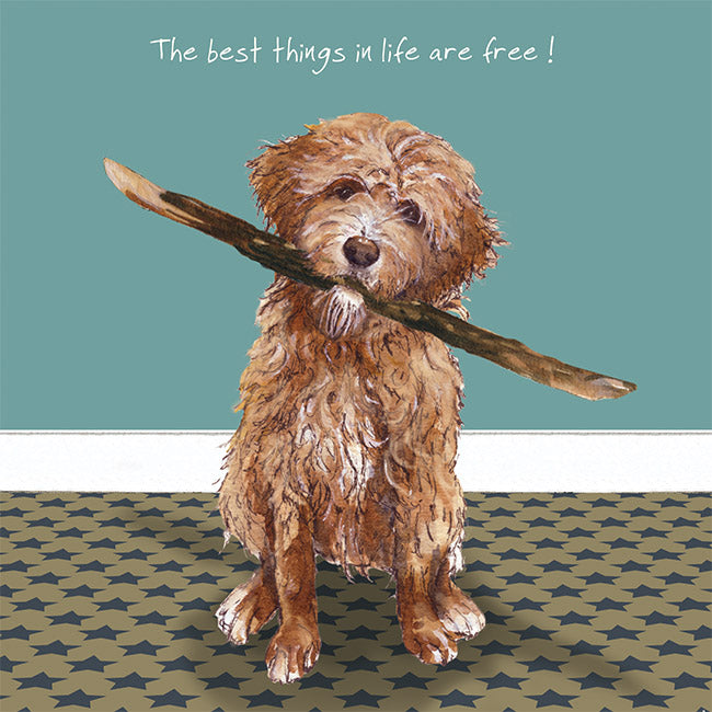 Goldendoodle & Stick Little Dog Laughed Greeting Card
