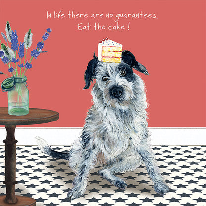 Border Collie Eat Cake Little Dog Laughed Greeting Card