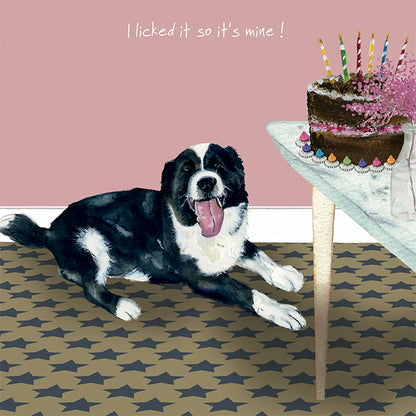 Border Collie Licked! Little Dog Laughed Greeting Card