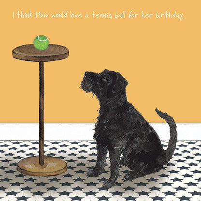 Patterdale & His Ball Little Dog Laughed Birthday Card