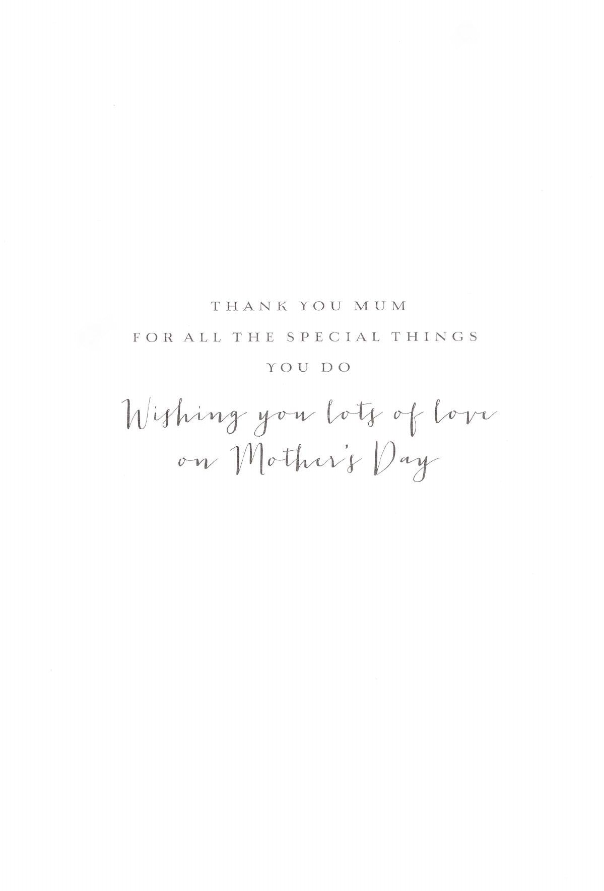 To A Special Mum Tweetastic Love Hand-Finished Mother's Day Greeting Card