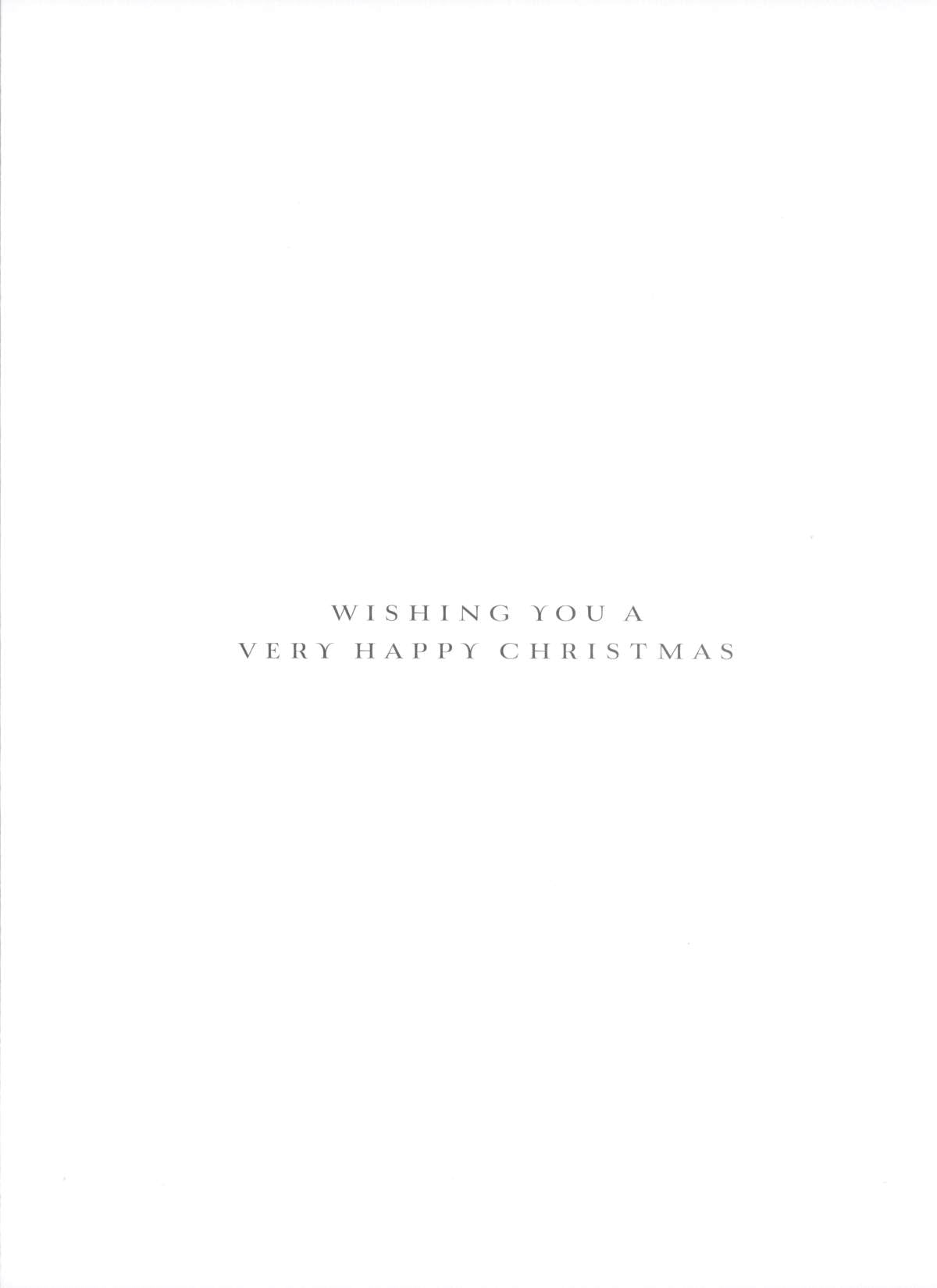 To A Special Friend Festive Robins Christmas Card