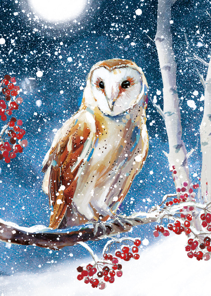 Box of 24 Christmas Wildlife Festive Assorted Christmas Cards