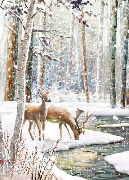 Box of 24 Christmas Wildlife Festive Assorted Christmas Cards